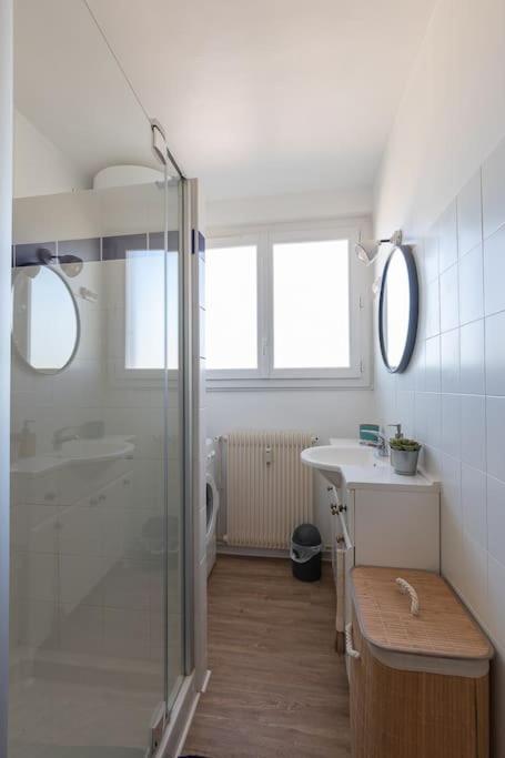 Cabana & Grand Appartement Cosy - Parking & Balcon Villefranche-sur-Saône Kültér fotó