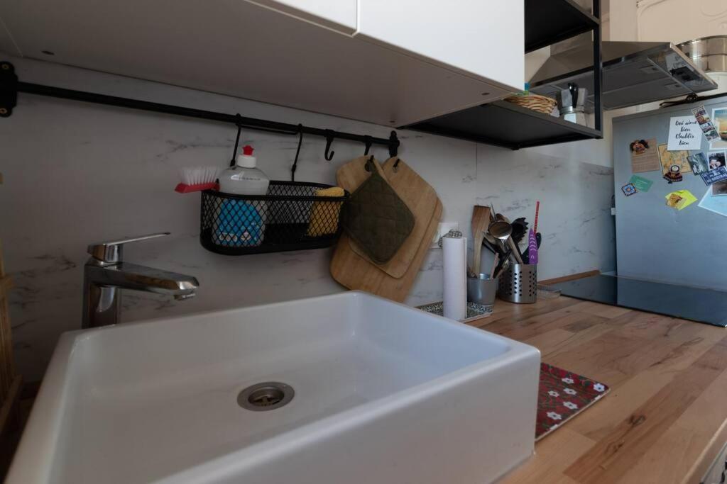 Cabana & Grand Appartement Cosy - Parking & Balcon Villefranche-sur-Saône Kültér fotó