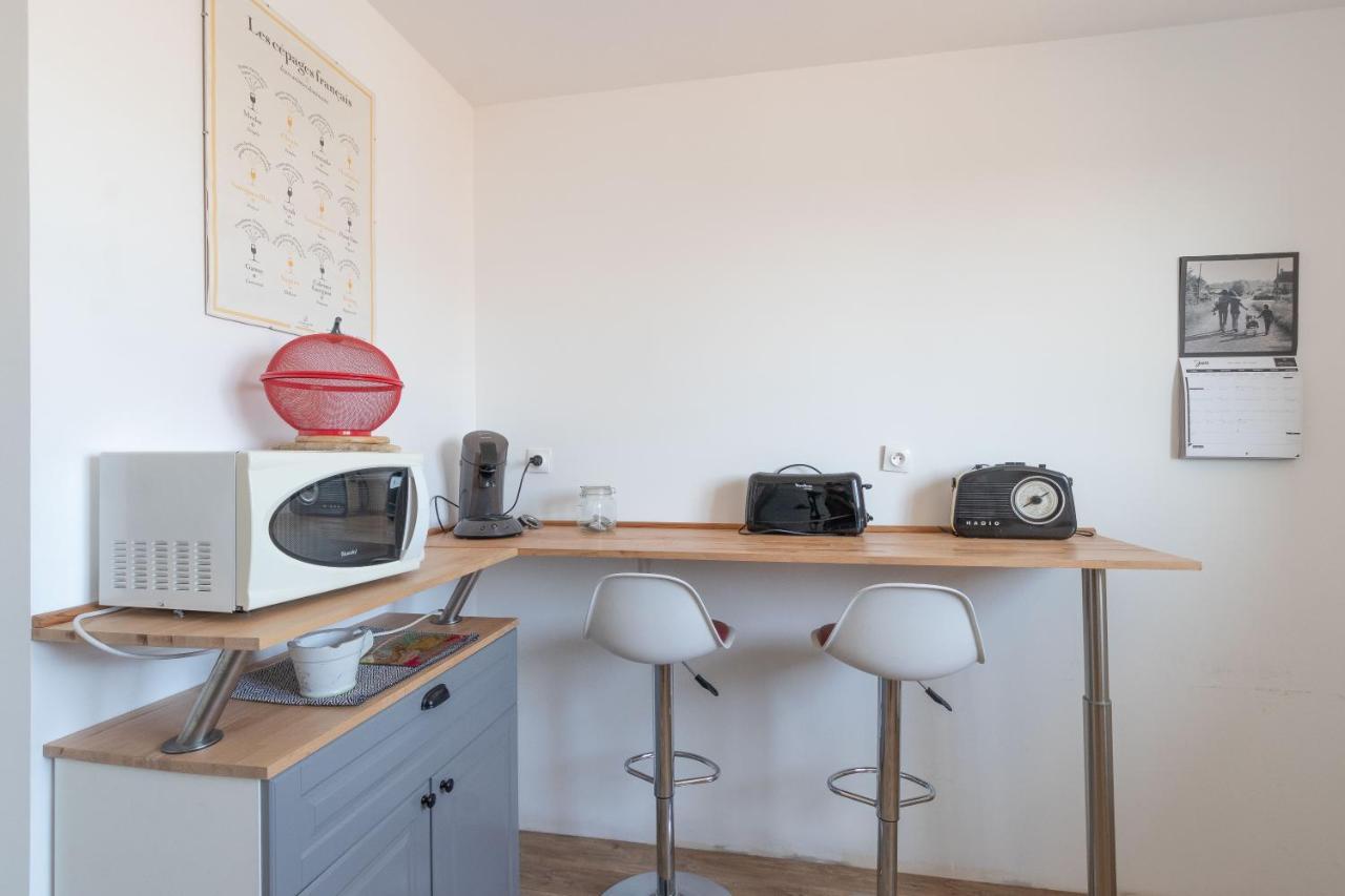 Cabana & Grand Appartement Cosy - Parking & Balcon Villefranche-sur-Saône Kültér fotó